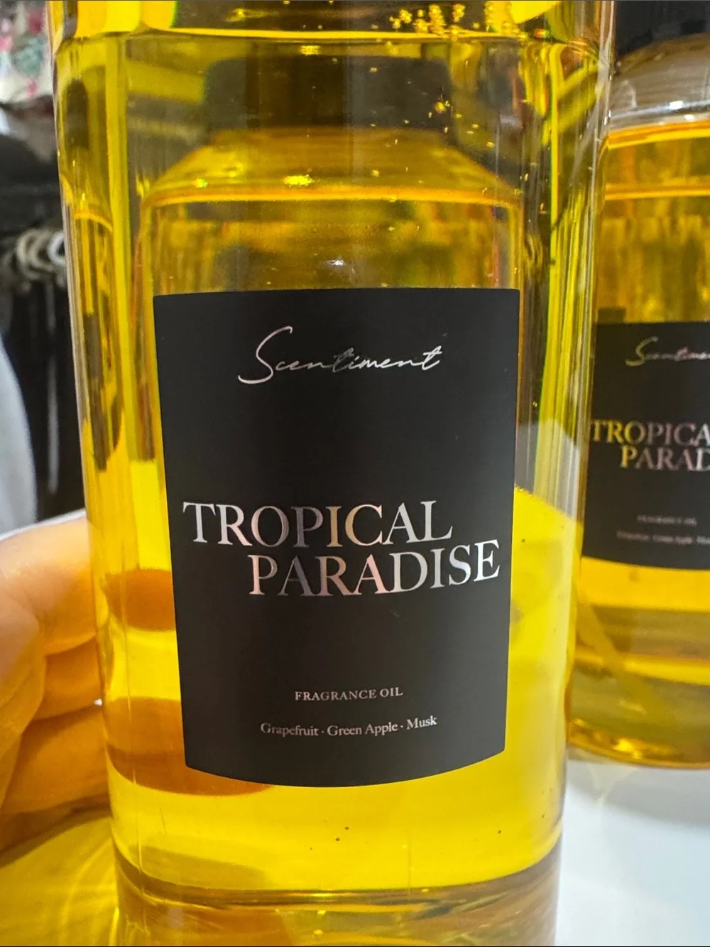 4-Tropical Paradise Fragrance Oil - Sentiment